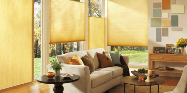 Honeycomb shades with top-down and Vertiglide options