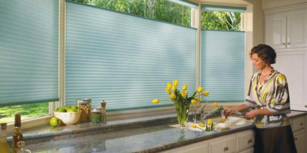 Applause honeycomb shades with top-down, bottom-up option